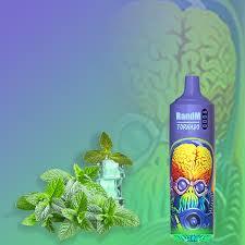 R & M Tornado 9000 Puffs Disposable Vape Device - VapeKiss