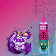 R & M Tornado 9000 Puffs Disposable Vape Device - VapeKiss