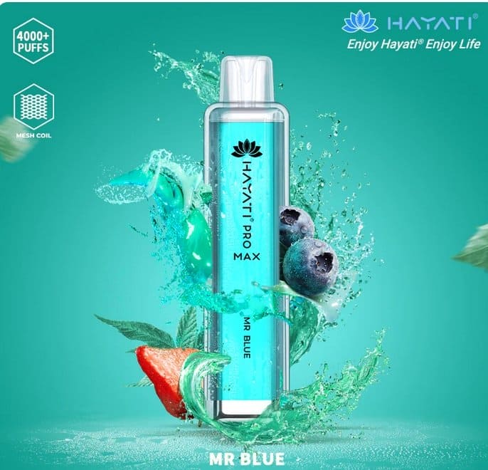 Hayati Pro Max 4000 Puffs Disposable Vape